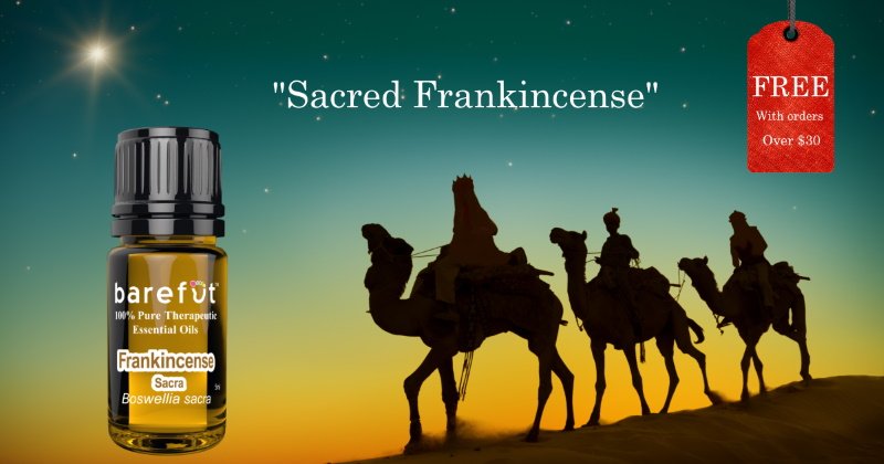 BlueEyeGypsy1's tweet photo. 🎄 Introducing "Sacred Frankincense" (Boswellia sacra) Essential Oil

Today Only, get it Free w/ orders > $30 for our 3rd day of Christmas Sales.

👉 Shop now at https://t.co/5J1amrdcWs

#barefut #essentialoils #thirddayofchristmas #Christmas #Freebies https://t.co/ZuQ6X37MrB