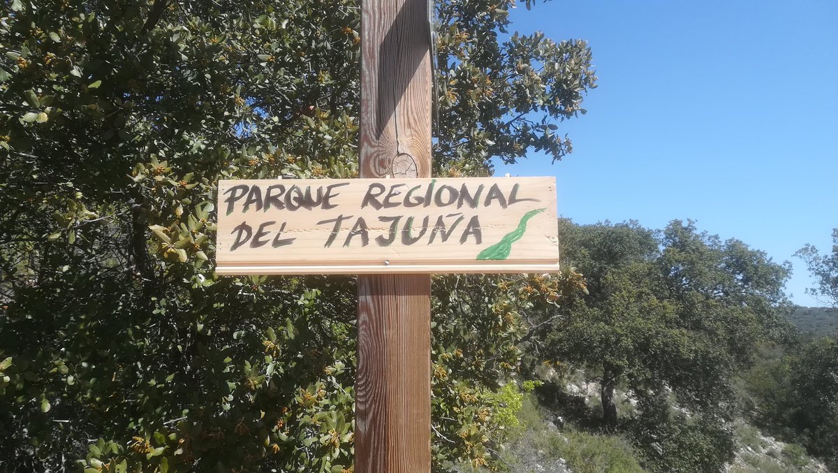 Si ellos son incapaces de defender el medio ambiente pasamos de ellos y lo hacemos nosotros.