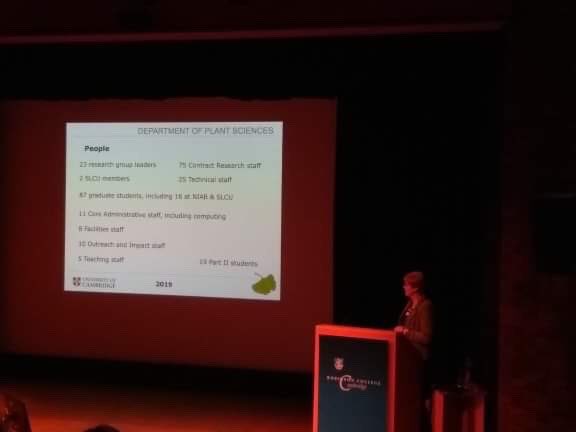 CUHerb's tweet image. 2019 @plantsci Research Day with @homesmith9 introducing with some highs &amp;amp; lows of the year, then Andrew Tanentzap talking about lots of the cool work by  @ecochangegroup esp @javi_igea on the origins of the diversity of life.. #speciation #diversification #TreeofLife #lineage