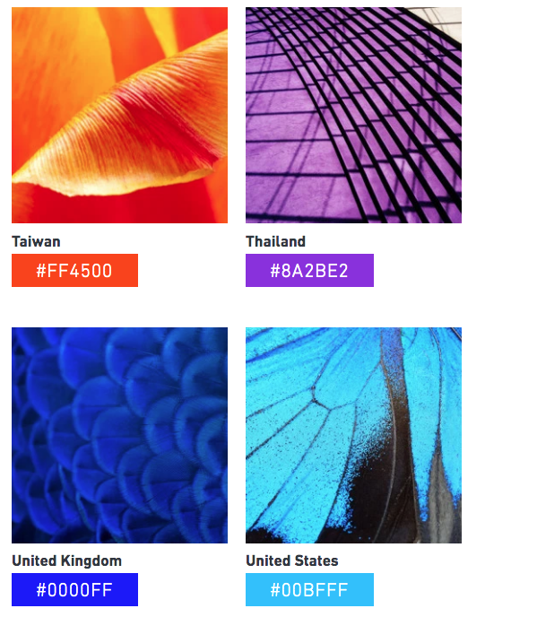 SansFrontiereUK's tweet photo. Shutterstocks' pixel data predicts and we 💜💚💙💛to discover the colours trending around the world! Here are some of the hottest hues for the year ahead from across the pond and beyond. https://t.co/oqQdF5GQL4