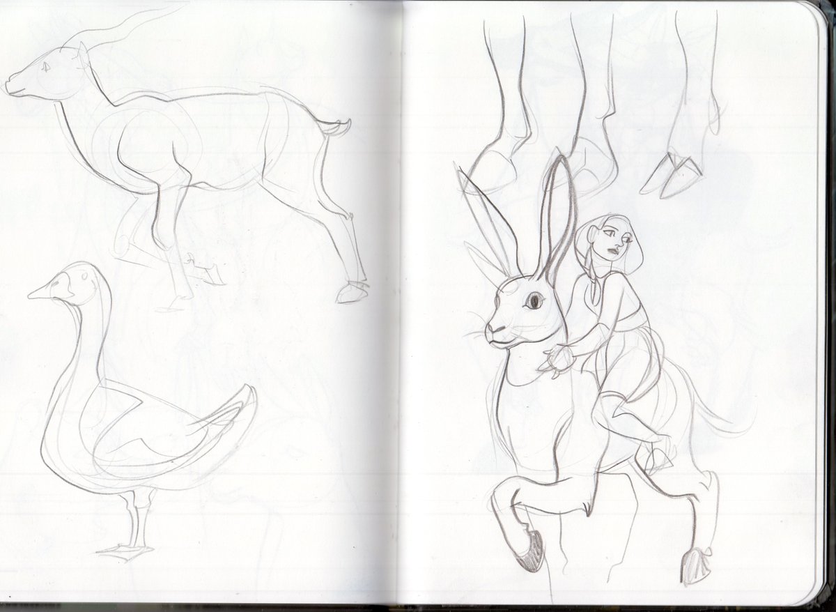 first sketches for the rabbit 