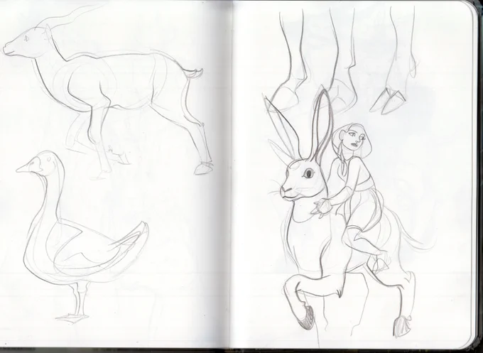 first sketches for the rabbit 