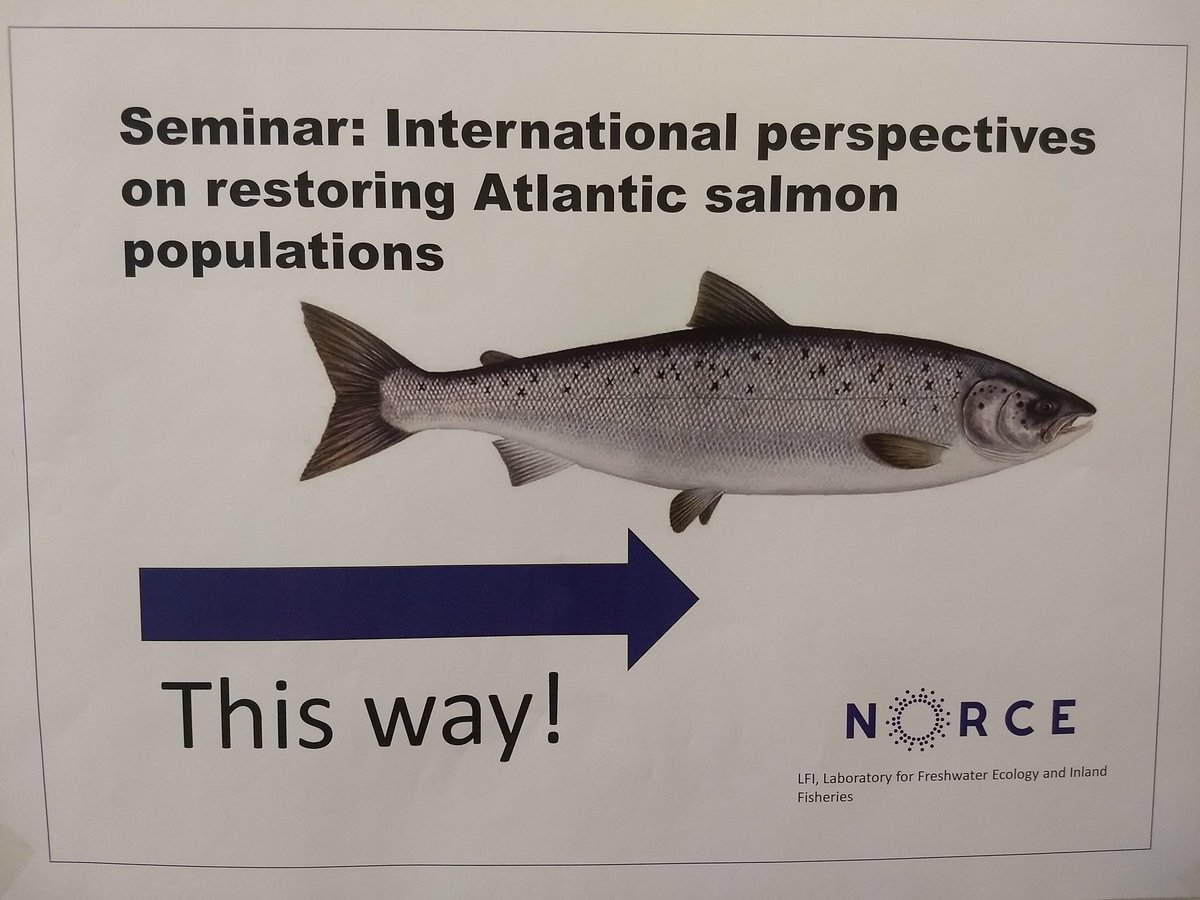 Jaakko Erkinaro (@jaakkoerkinaro) on Twitter photo <a href="/FisheriesRobert/">Robert Lennox</a> opening the Atlantic #salmon restoration seminar <a href="/NORCEresearch/">NORCE</a> in Bergen 🇳🇴
<a href="/BergenLfi/">LFI_Bergen</a>
#salmonrest @LukeFinlandInt <a href="/FisheriesRobert/">Robert Lennox</a> opening the Atlantic #salmon restoration seminar <a href="/NORCEresearch/">NORCE</a> in Bergen 🇳🇴
<a href="/BergenLfi/">LFI_Bergen</a>
#salmonrest @LukeFinlandInt