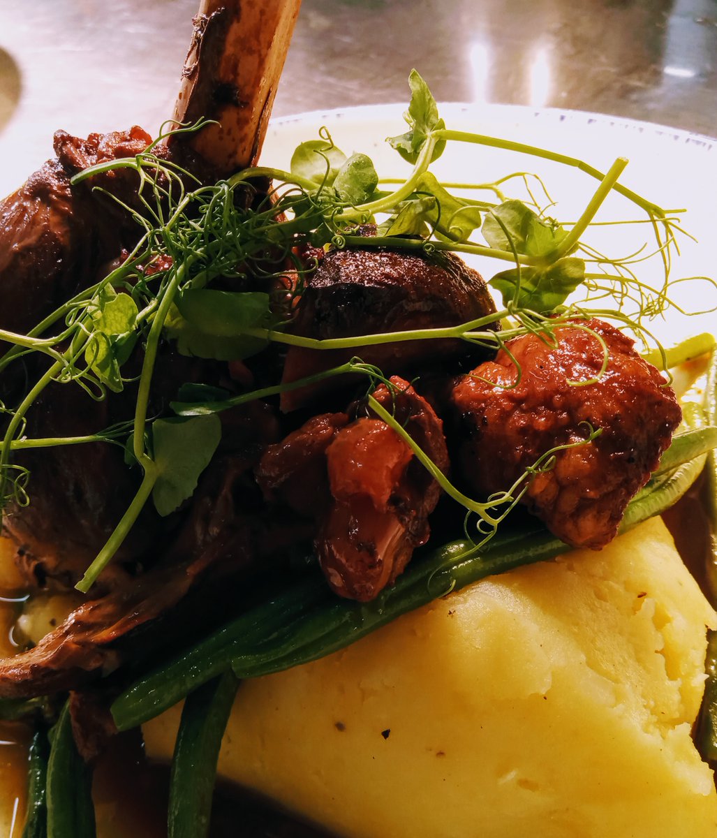 The Owl Camber tweet media