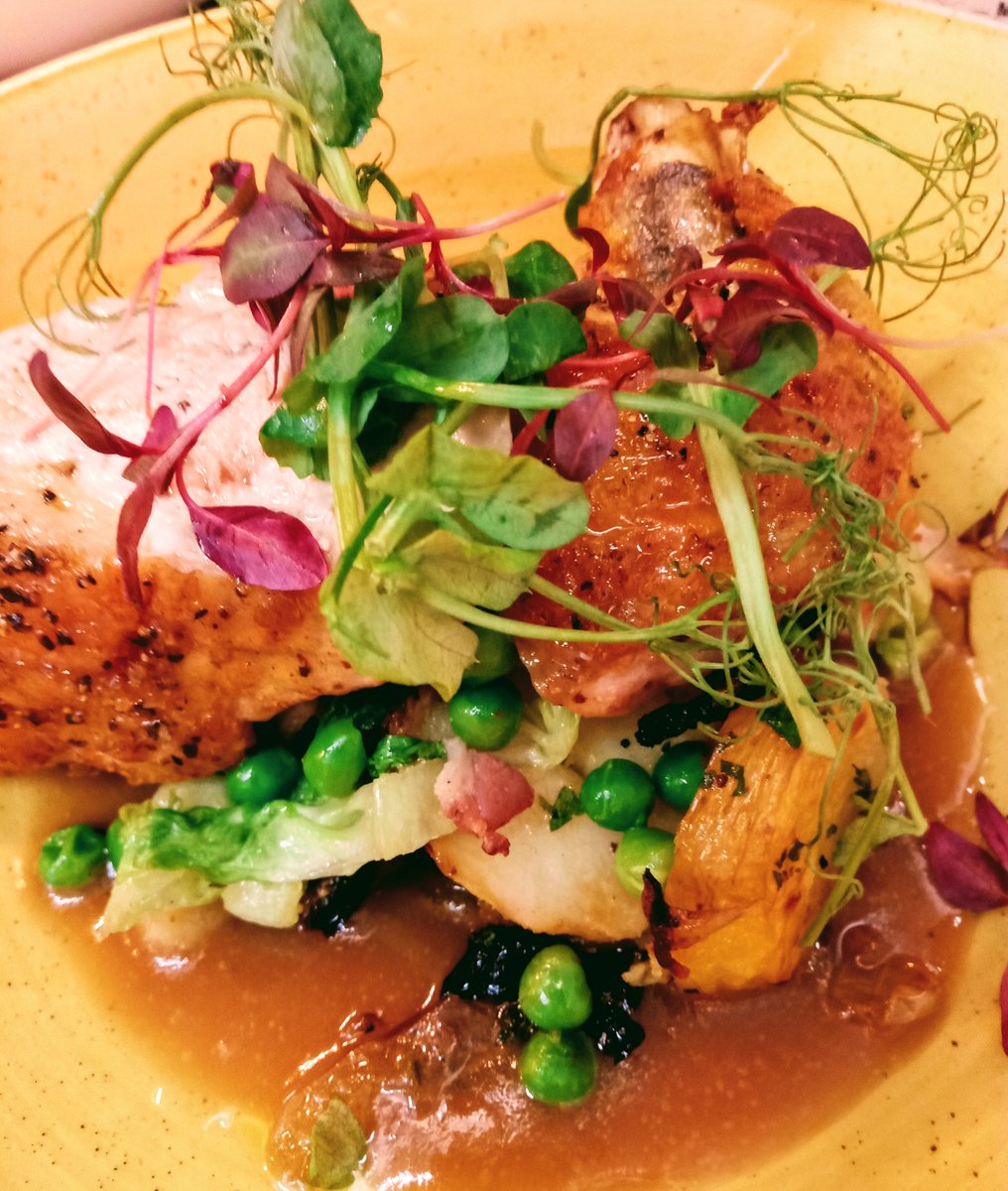 The Owl Camber tweet media