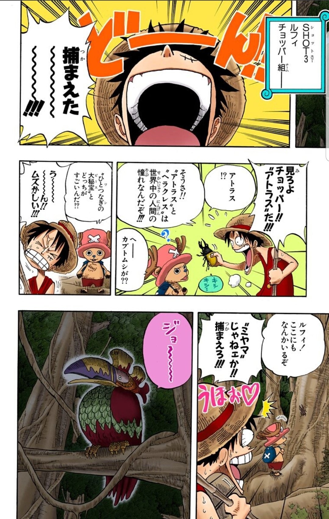 美貌色の覇気使いハル麦 今日のone Piece サウスバードを捕まえに一味全員で夜の森へ ここで みんなの個性がよくわかる今では貴重なシーン ルフィチョッパーウソップ 虫を見て大興奮 ナミサンジ 気持ち悪い虫はng ゾロ 歯向かってきたので