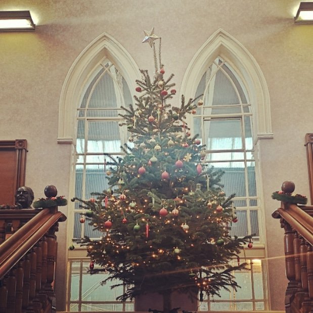 WesternBaths's tweet photo. It's beginning to get very festive here at the Baths as we begin to gear up for Christmas!
Why not pop down to see our beautiful tree, plus all of our wonderful decorations in the Deepend? 🎄🎄
#westernbaths #glasgowfitness #westendglasgow #victorianbaths https://t.co/JLWkH7XTIc
