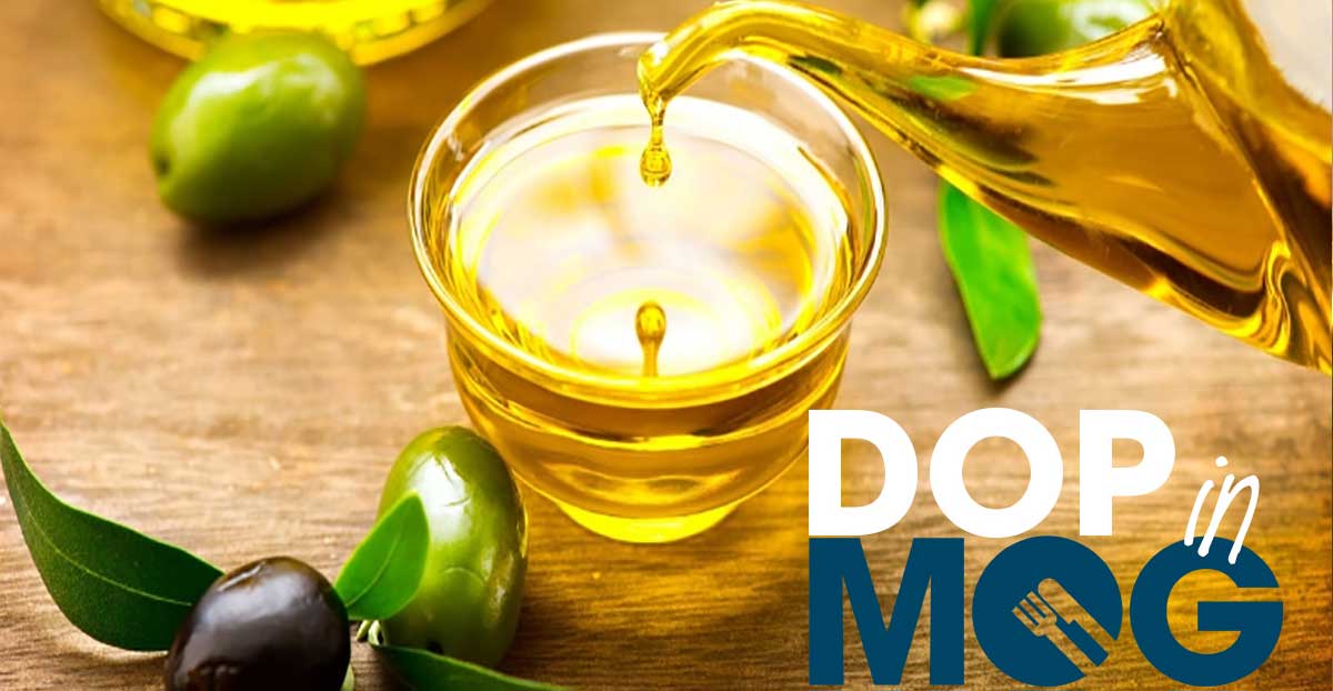 Ligucibario's tweet photo. What's in a #DOP? Scoprilo il 14 12 h 10.30 con il gustincontro #DOPinMOG, Olio Oro Mediterraneo al @GenovaMog. Viaggio culturale alla scoperta di ingredienti e tradizioni culinarie ed esperienza polisensoriale di degustazione di grandi EVO @oliodop liguri https://t.co/fUOTP0WHrD https://t.co/ecKFuNIpcS