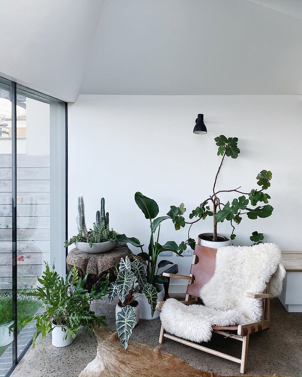 heals anglepoise
