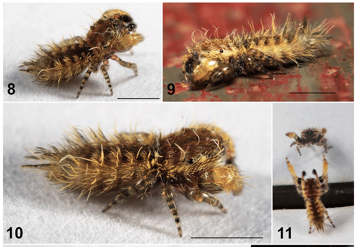 McrMuseum Collection tweet media