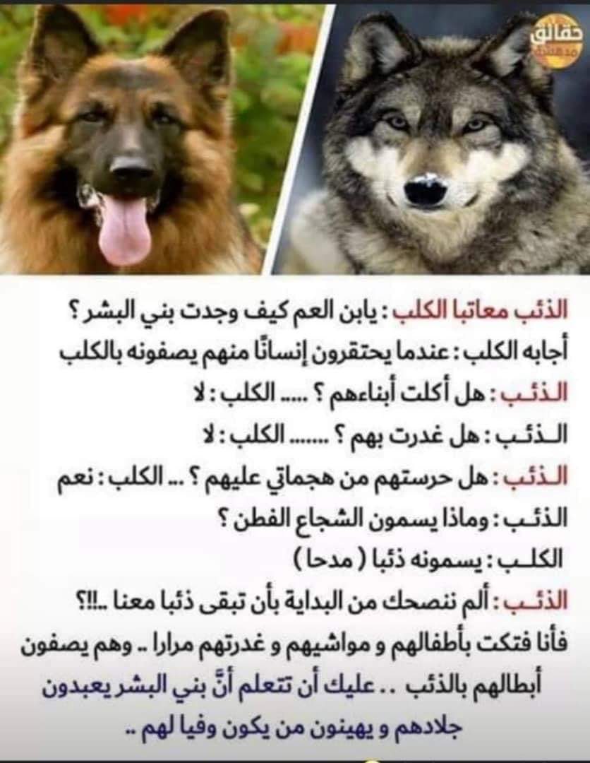 علي بن احمد الرباعي نا تفييرو جانب محادثة بين الكلب والذئب يقول الذئب للكلب نصحك ولم تسمع ما هو الان فكك من البشر