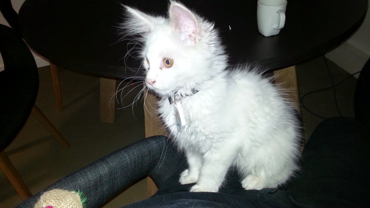 Julien Martin tweet media