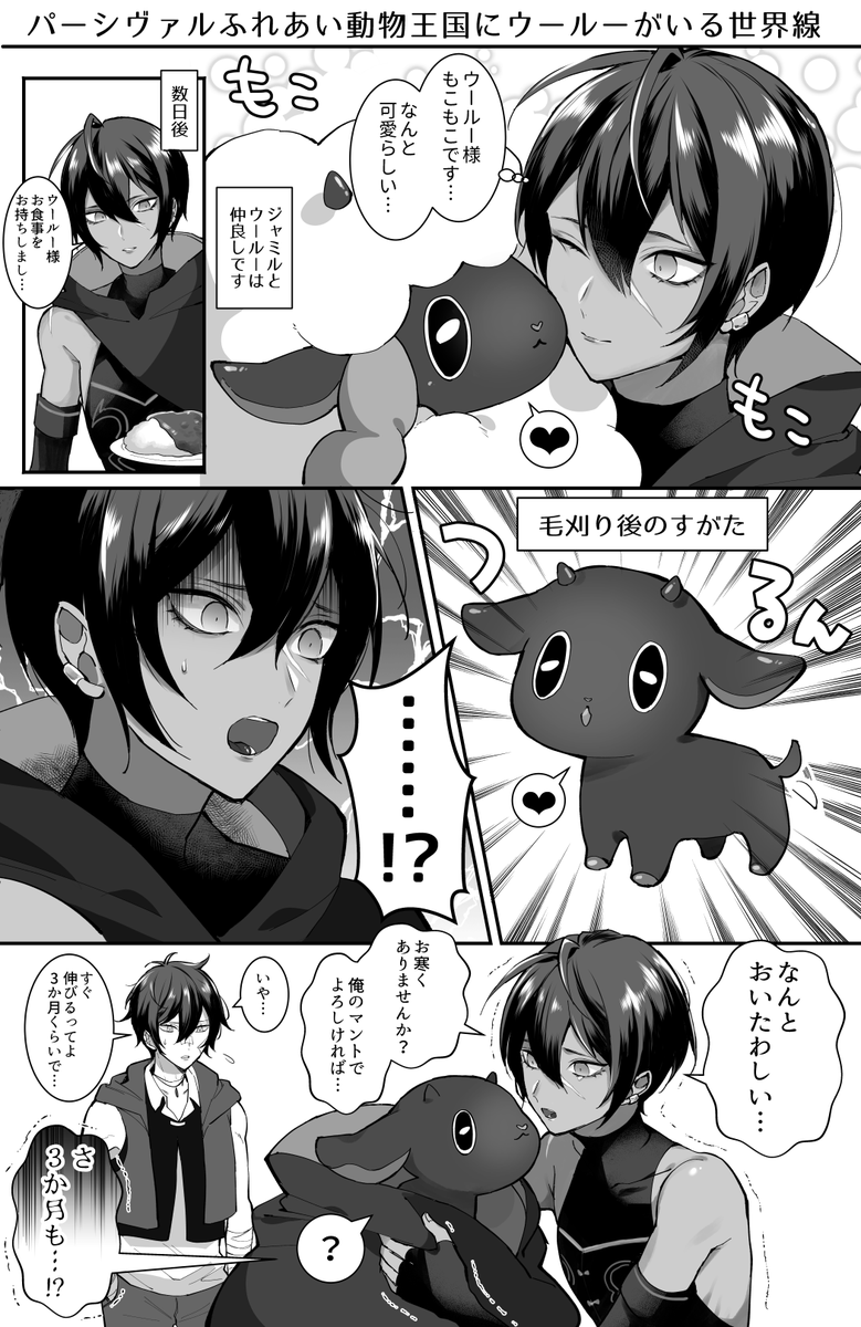 ジャミルとウールー そしてアイル 