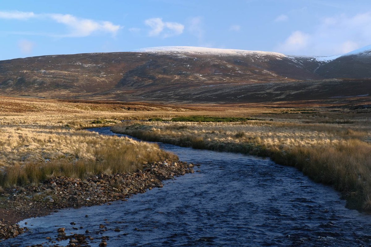 Four shots from a chilly day in the Glenlivet area today...