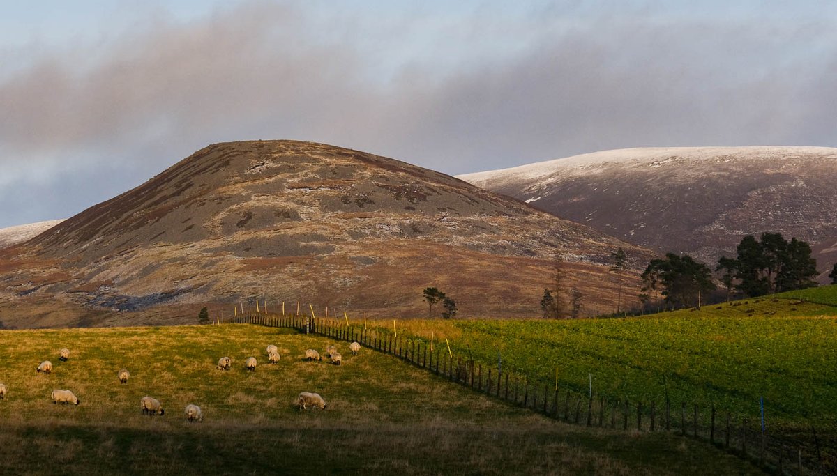 walkhighlands tweet media
