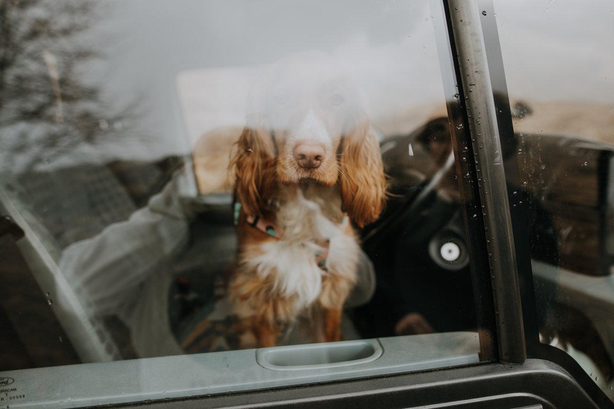 Louise Anna tweet media