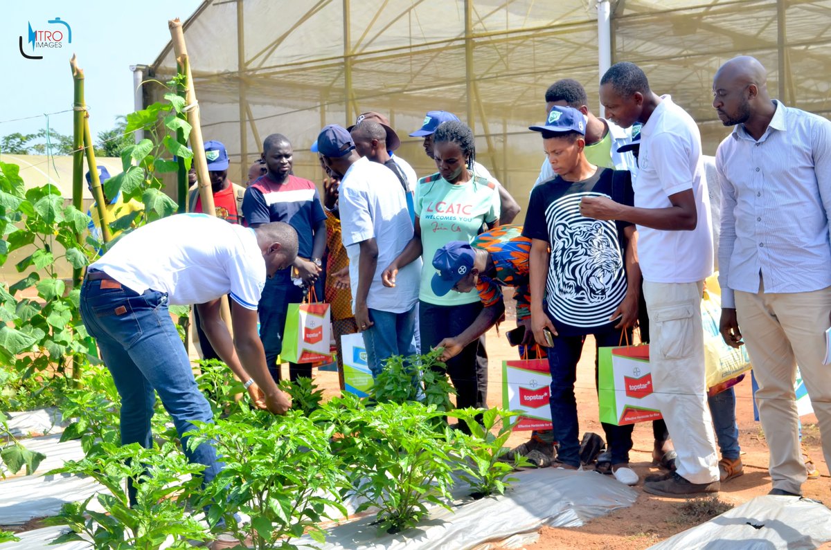 okoreuchenna's tweet photo. I was given the opportunity to train farmers on "Basic Pest and Diseases of Vegetables" at the 2019 edition of the "Let's Grow Veggies" organised by BAYER Crop Science at Sedfort Farms Obafemi Owode, Abeokuta.
#farmers #seedforthagro #sedfort #ipm #vegetables #bayercropscience https://t.co/FAU4VooOGj