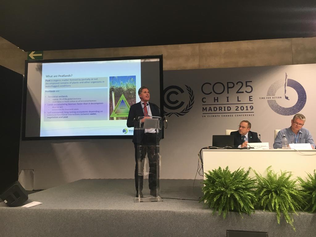 'If you do not include peatlands in the NDCs, you cannot record or report emission reductions. Get peatlands in NDCs! There is support available.'- Arthur Neher, Wetlands International, urges countries @UNFCCC #COP25  
#PeatlandMatters
#TimeForAction