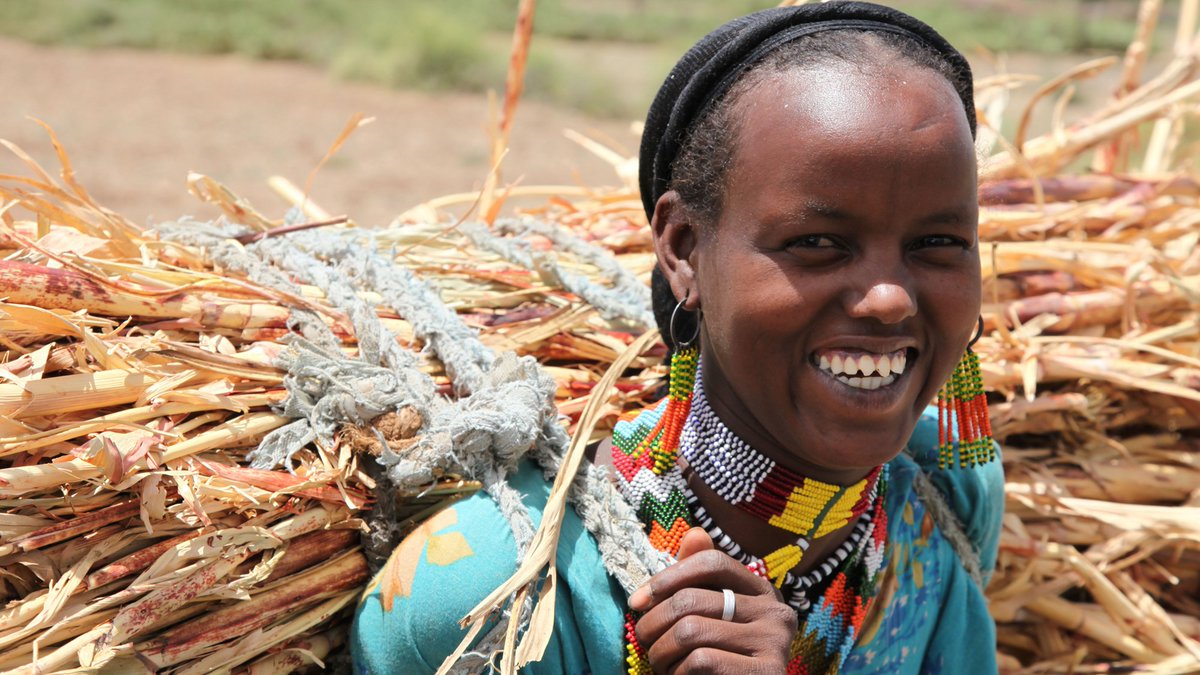 CGIAR GENDER tweet media