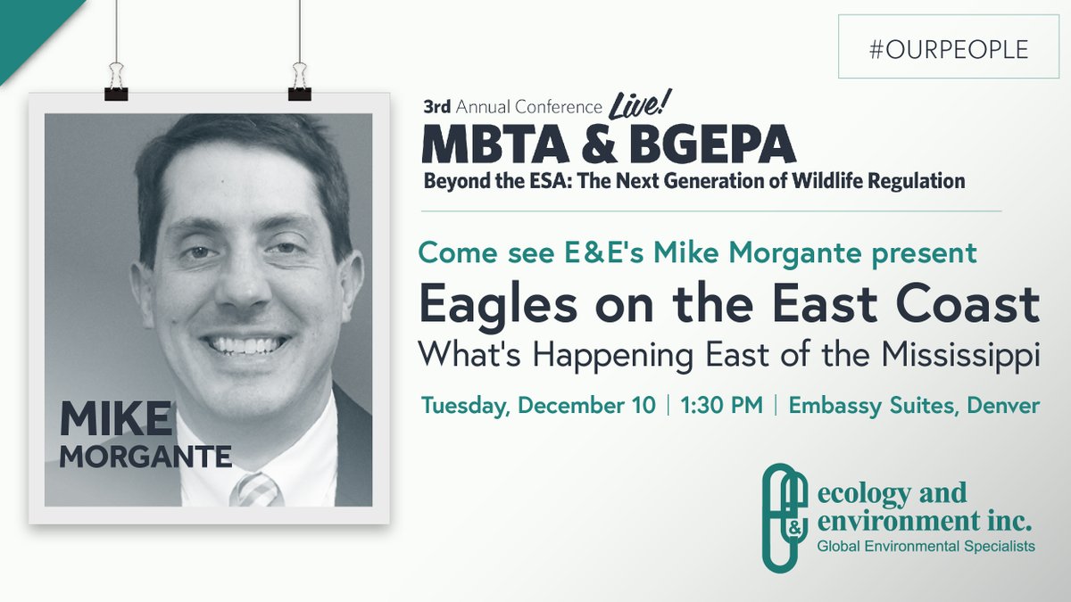 ene_inc's tweet photo. Heading to the 3rd Annual #MBTA &amp; #BGEPA Conference in Denver? Don’t miss Mike Morgante’s presentation, “Eagles on the East Coast—What’s Happening East of the Mississippi” on Tuesday at 1:30pm. Learn more here https://t.co/KvbsuBzk16 #OurPeople #WildlifeRegulation https://t.co/iUOet9md4Y