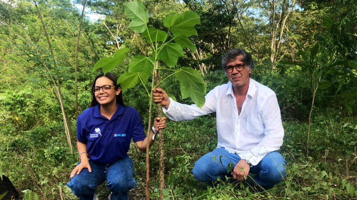 MinDeporteCol's tweet photo. 🌳🌳🌳
. . . . 
El legado de #LosJuegosDelBicentenario  empezó a visualizarse. En el Jardín Botánico de Cartagena se cumplió con el acto de cierre de la estrategia ambiental de Mindeporte: la siembra de 1.200 especies de bosque seco tropical.
#DeporteAmbiental https://t.co/rGSprPlvbB