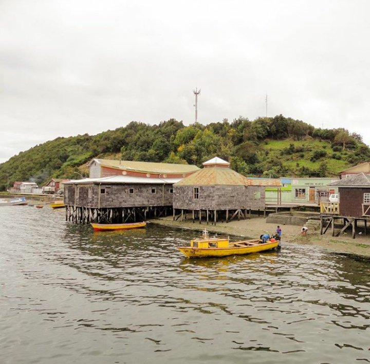 jkkellon's tweet photo. Hola amigos de twiterlandia que tengan un #FelizLunes
Saludos desde Chiloe. https://t.co/G2JBnodsqi