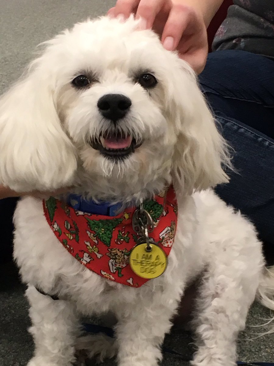 silslibrary's tweet photo. We have a visitor today!! Come to the sils library to meet Dallas the therapy dog and have some coffee - until 1pm! https://t.co/TpfURL15wU