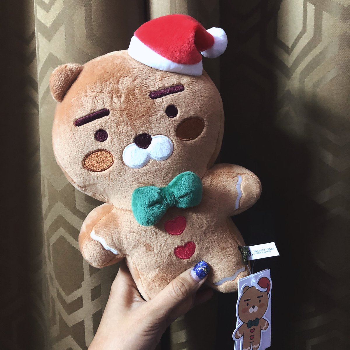 ได้รับคุณไรอันแล้วนะคะ ส่งไวมากมากเลย 💕🦁 #CKCSReview