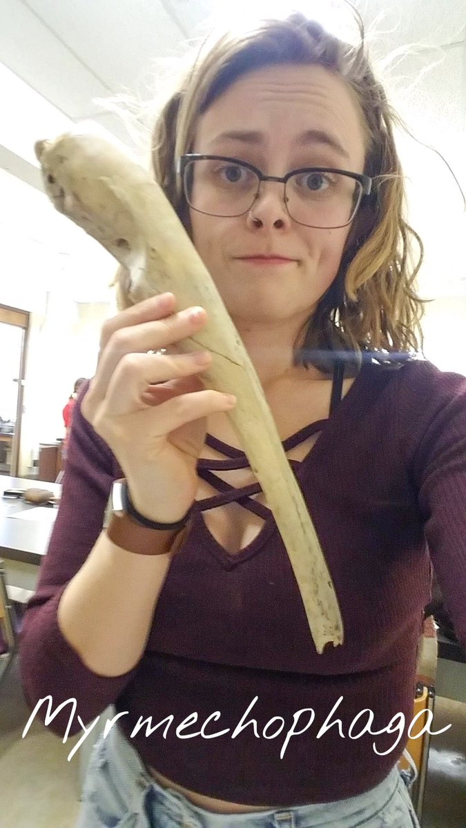 woman holding up an anteater skull