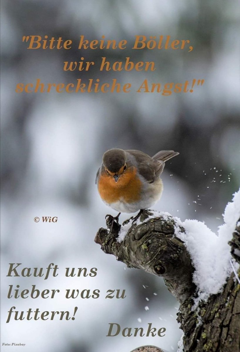 Franz Dieter Kersting (@franzkersting) on Twitter photo 