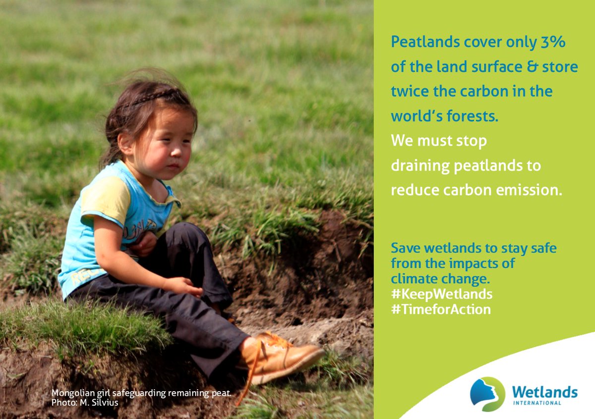 The world’s stock of tropical peat is estimated to be as much as 350 billion tonnes, making a global total of more than 800 billion tonnes – equivalent to 20 years of carbon emissions from burning fossil fuels. 
#TimeForAction 
#Peatlandmatters for #ClimateAction