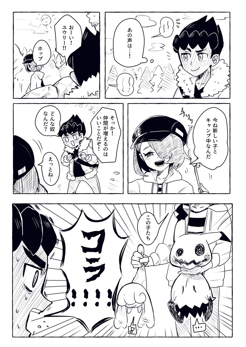 ポケモン 持ち方? 