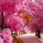 Photo by JeanetteEliz7 (@JeanetteEliz7)