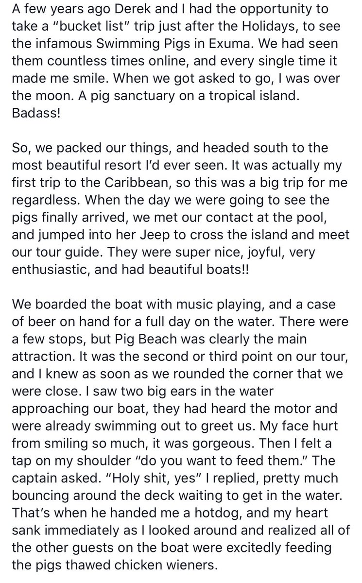 EstherThePig's tweet photo. It was the trip of a lifetime, until we got there. #SwimmingPigs https://t.co/HqLBEnq4Ii https://t.co/Q6SrQO9anH