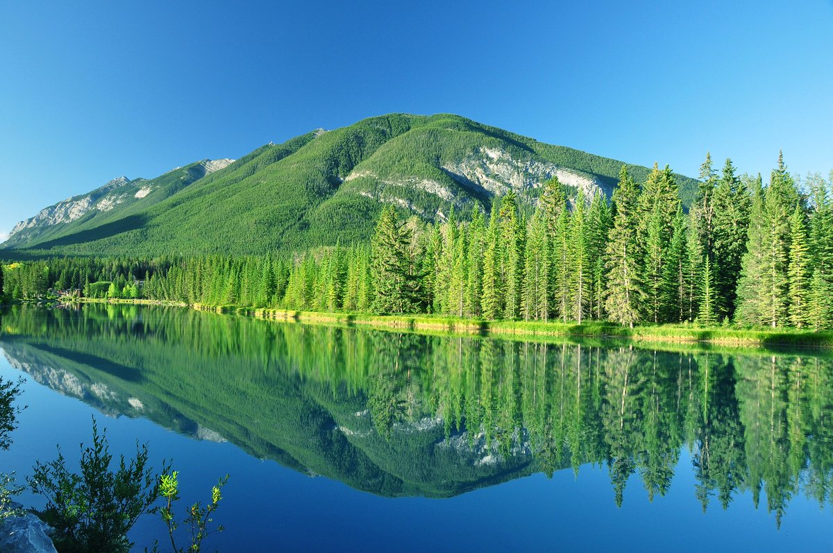 PillingerWorld's tweet photo. 😃😃WESTERN CANADA😃
☀️Twin - centre Feb/March 2021
❗️ £1,070pp - 2 people, 6 nights
✈️Return flights
🏩Accomadation
🚗Car hire

For more information visit our website:
https://t.co/8tofJwDVXT…/canada-twin-centre/ https://t.co/gcEOXLegpO