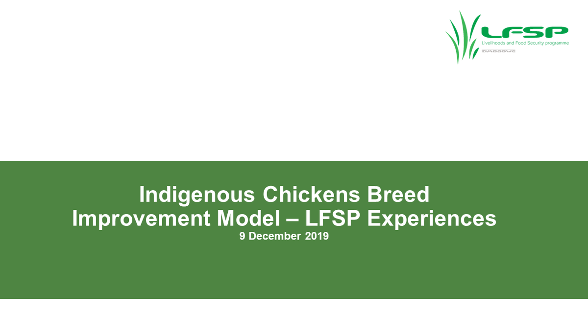apt_zimbabwe's tweet photo. #HappeningNow! Learning Event on @LFSPZim experiences w local indigenous chicken (#roadrunner) breed improvement model. Lessons learned &best practice. Looking forward 2presentations from a local business, #SAZ and #SIRDC. @UKinZimbabwe @PalladiumImpact @faosfsafrica https://t.co/bKMbqRRZCX