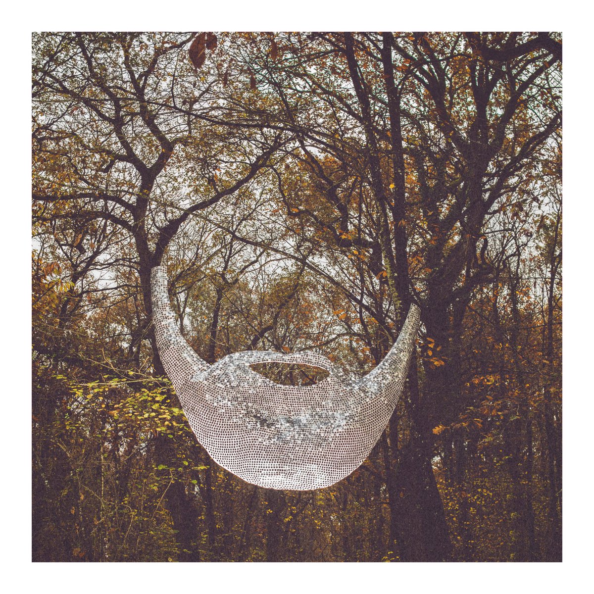 Thomas Howard Memorial tweet media