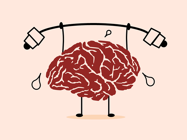 SagaMilena's tweet photo. Learning how to learn is the only super power you need: https://t.co/2FtmOLNWWX https://t.co/foGUGy3dfn