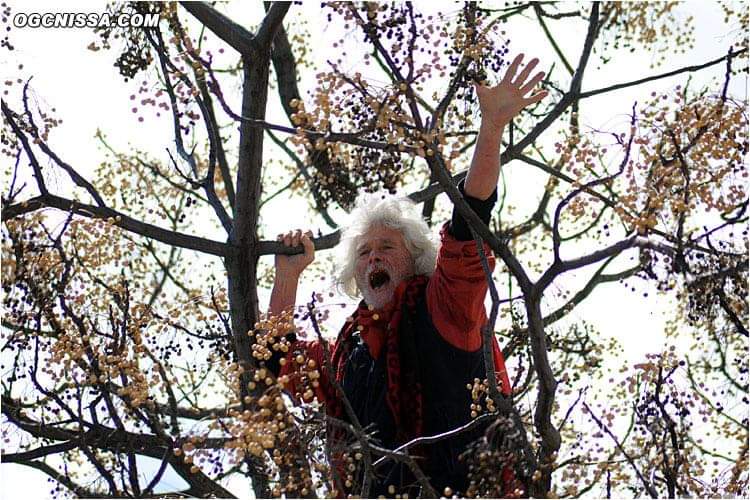 zesilverfox1's tweet photo. L'un de mes premiers souvenirs de supporters, lorsqu'à mes 7 ans, j'apercevais depuis la tribune cet homme hurlant à la gloire de #Garibaldi depuis son arbre situé entre la populaire et la présidentielle...
Adieu le Berger , alias Paul Capietto @ogcnice https://t.co/wgNaaWG0oM
