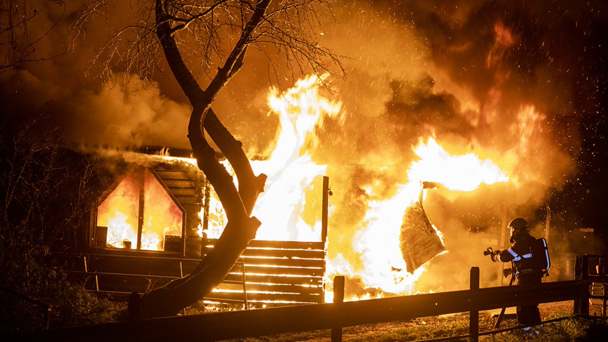 Spaarndammer (53) opgepakt voor brandstichting paardenstallen Halfweg ..