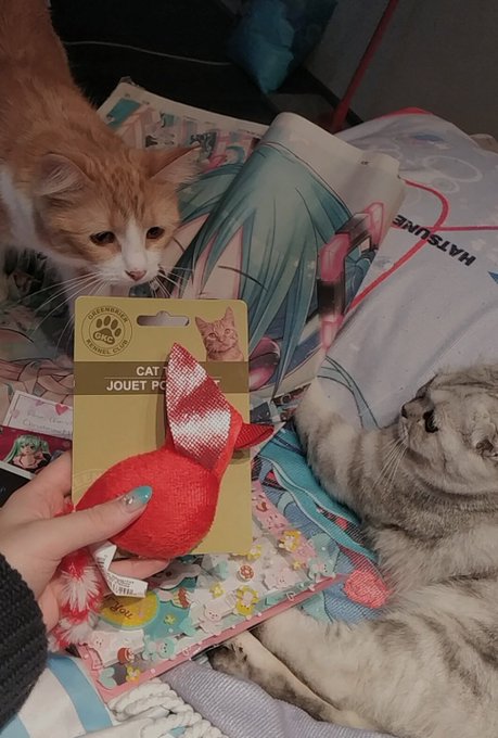 Twitterのコスプレ画像52