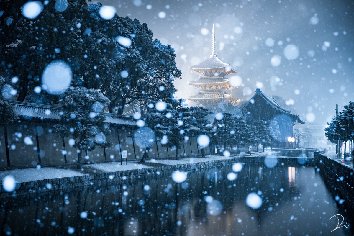 usalica's tweet photo. 雪の降り積もった京都は、目に映る景色全てが物語の世界のような、幻想的な情景になる。

#冬の写真クラスタフォロー祭 https://t.co/rND6q112So