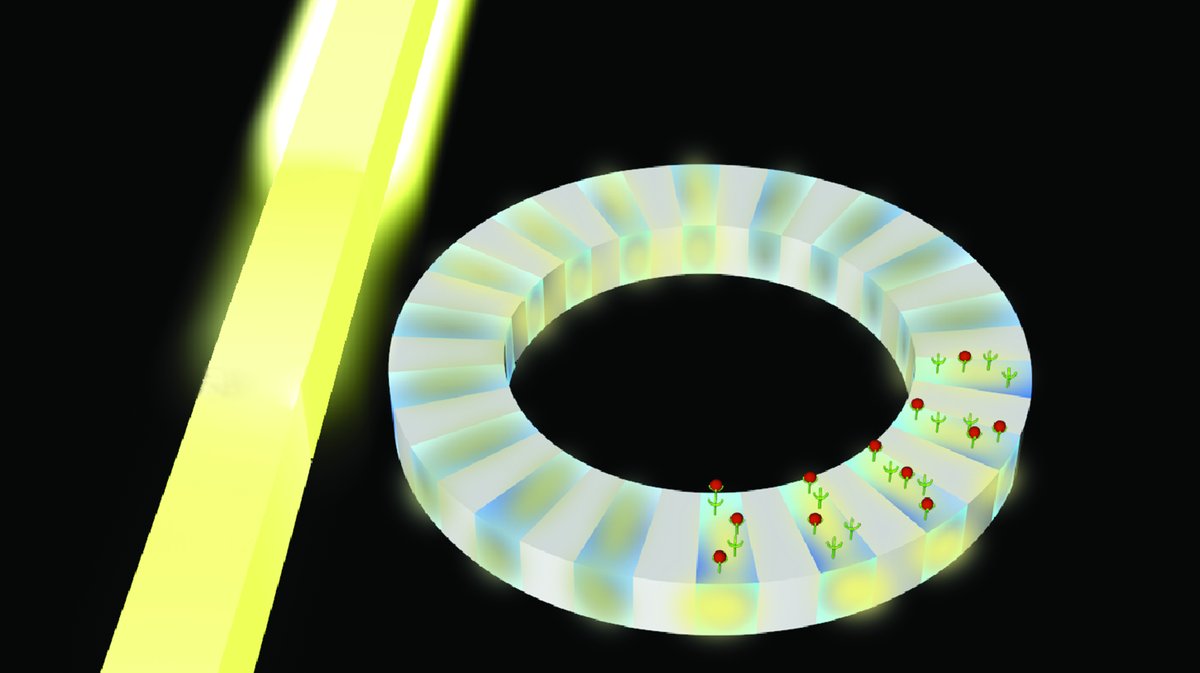 GLAM PROJECT tweet media