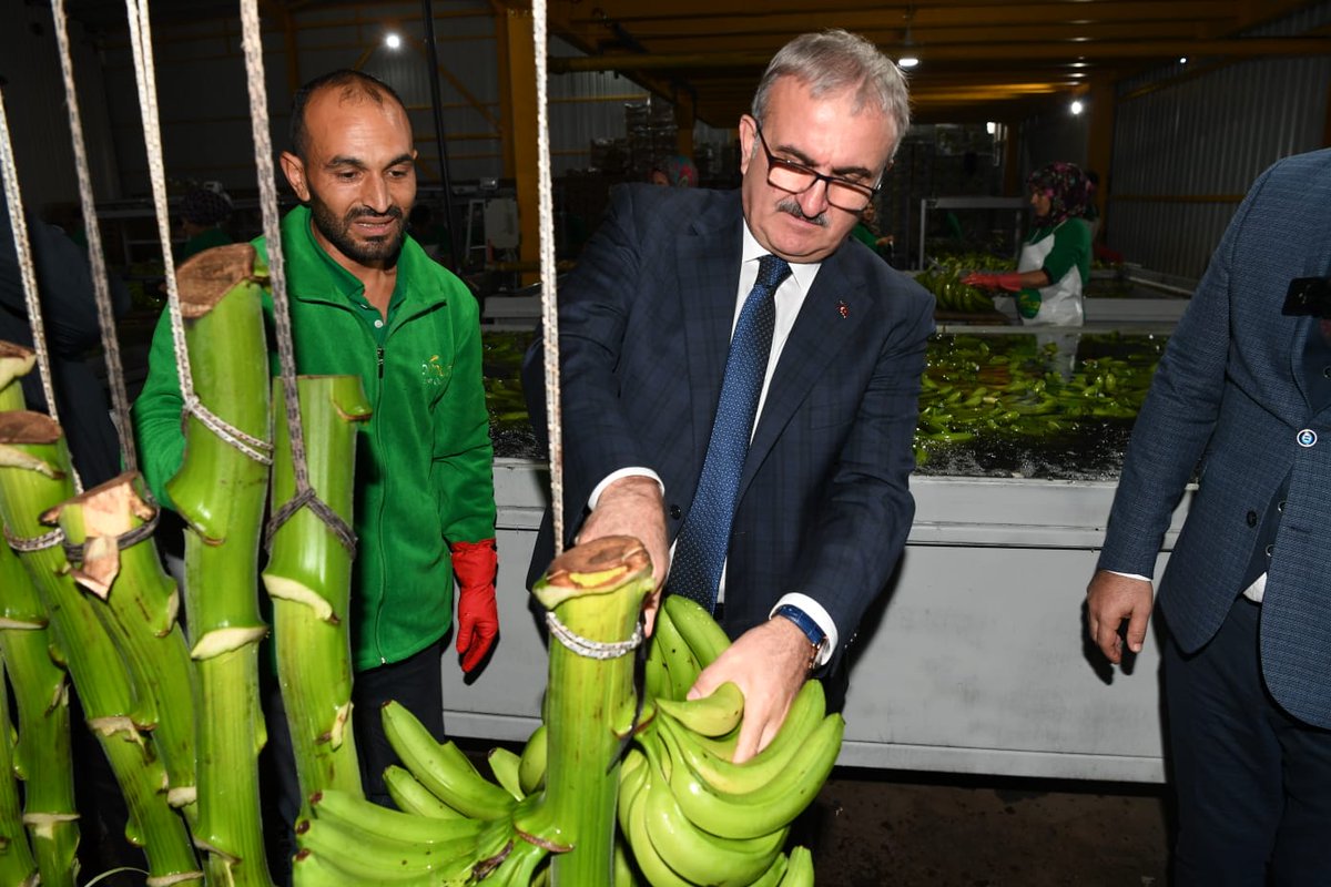 Vali <a href="/munirkaraloglu/">Münir Karaloğlu</a>, Manavgat Bi Muz Üretim Tesislerinde incelemede bulundu.