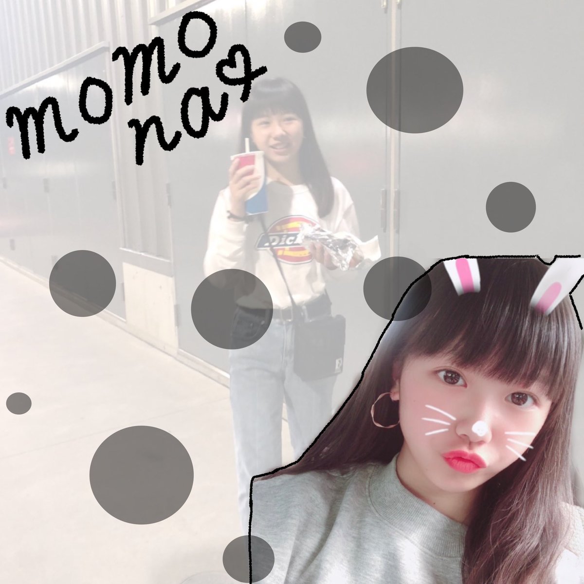 ハブドリームズ