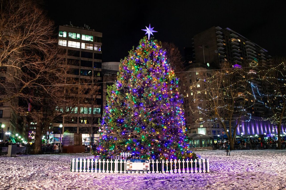 TreeforBoston's tweet photo. I’d like to thank everyone for the warmth shown to me throughout this journey.❤️2019 was an incredible experience. Until next year my friends!!! 
@novascotia @CityOfBoston @BostonParksDept @WCVB https://t.co/SOidhum5NJ