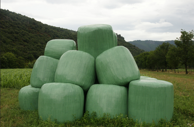 Apesa64's tweet photo. Le projet #BIOPLAST Interreg Poctefa vise à développer les #bioplastiques en secteur agricole sur le principe de l’#économiecirculaire ♻
Une démarche environnementale globale qui s'inscrit dans la dynamique d'éradication du plastique. 

👉https://t.co/4dZzh4OuoB https://t.co/1CW7ByGG2C
