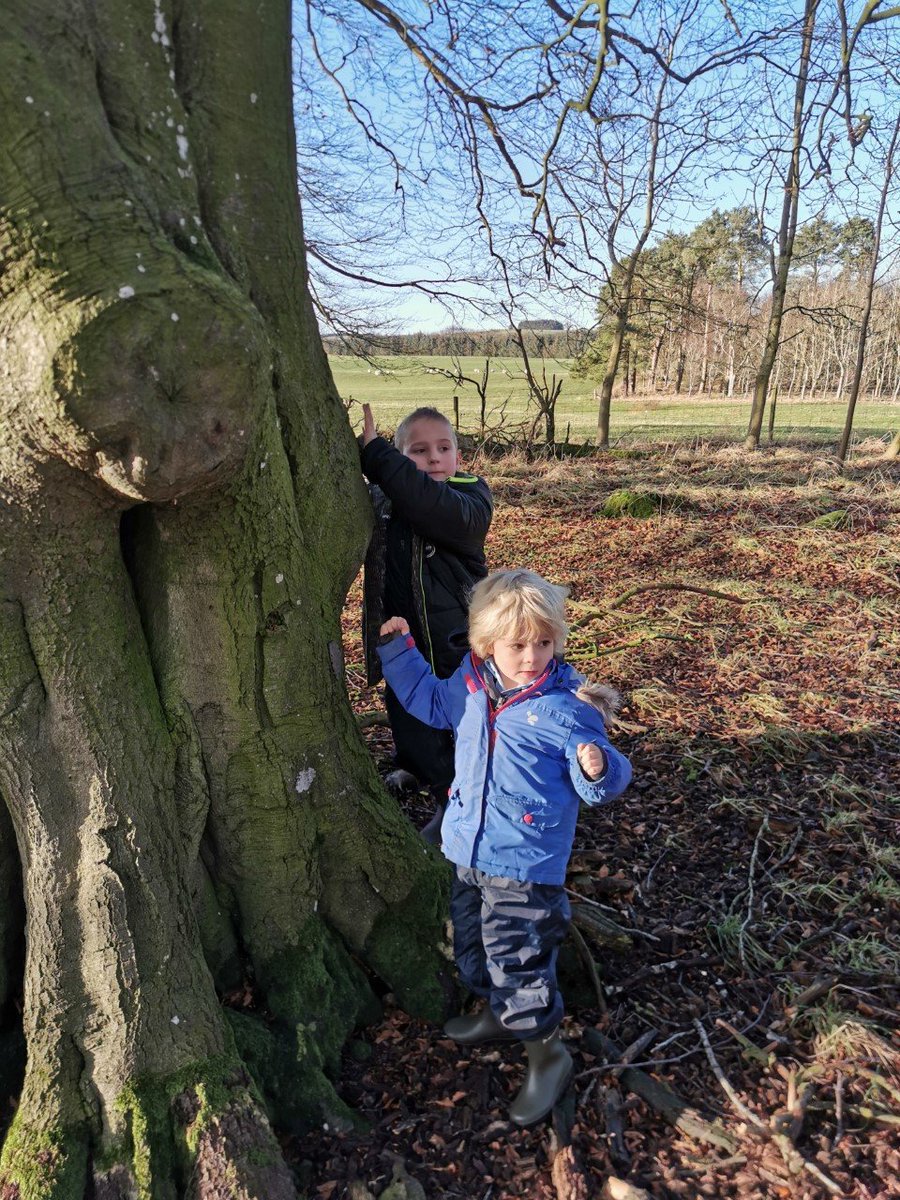 P1/2 were enjoying the sunshine with their outdoor learning this morning. They were making a 'Santa, Reindeer or Elf' out of clay, using twigs, beech shells and leaves and stick onto the bark of a tree. #christmasdesigns