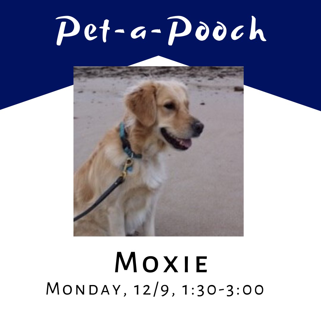 GeiselLib's tweet photo. We have a brand new #PetAPooch visit scheduled! Come meet Moxie this afternoon π She'll be here at 1:30. https://t.co/JlqldZBCqZ