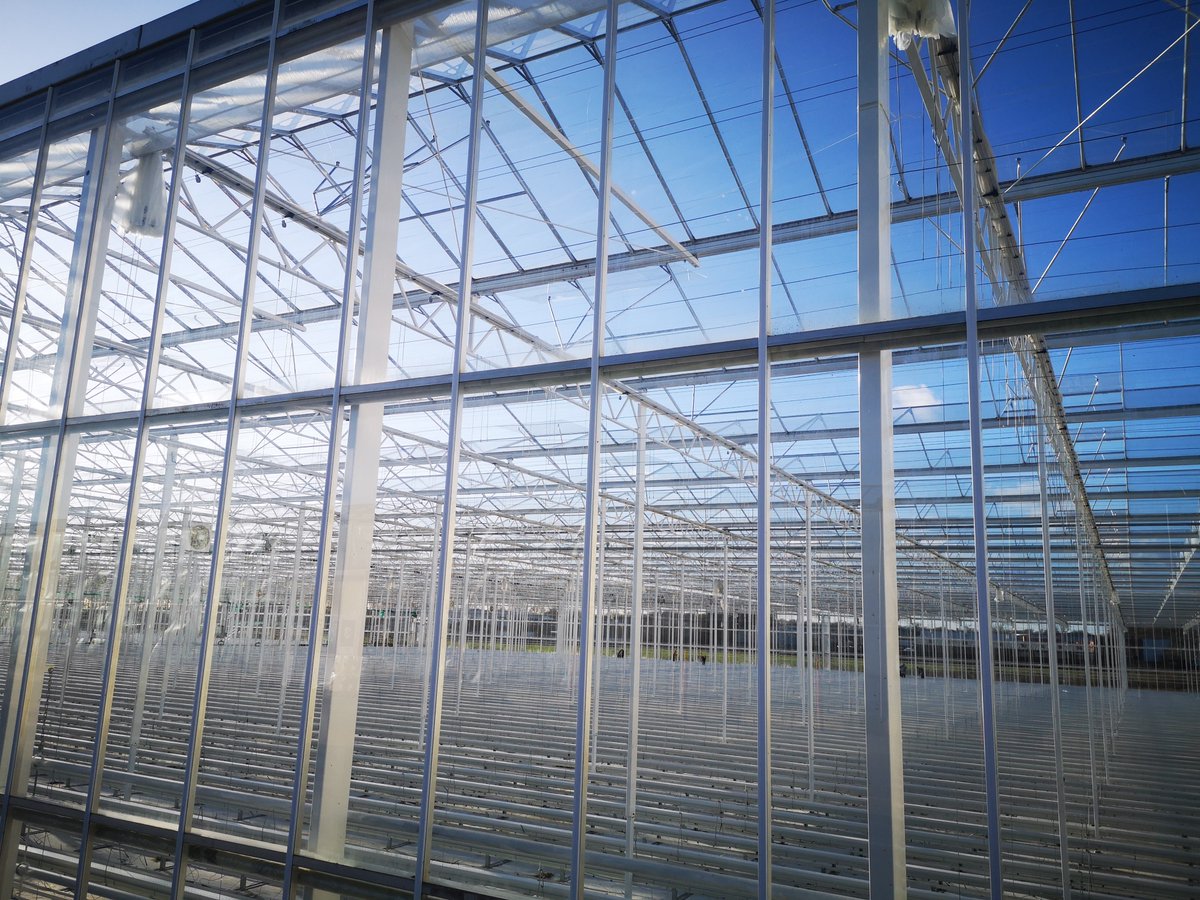 Without the crops in our glasshouses are even more impressive. Empty and being cleaned for the next season's crops.